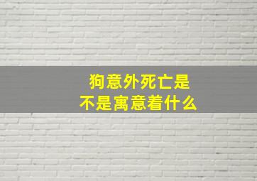 狗意外死亡是不是寓意着什么