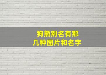 狗熊别名有那几种图片和名字