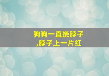 狗狗一直挠脖子,脖子上一片红