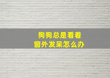 狗狗总是看着窗外发呆怎么办