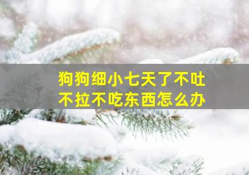 狗狗细小七天了不吐不拉不吃东西怎么办