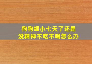 狗狗细小七天了还是没精神不吃不喝怎么办