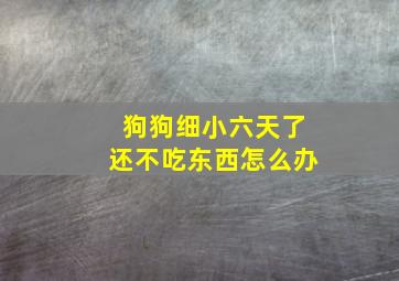 狗狗细小六天了还不吃东西怎么办