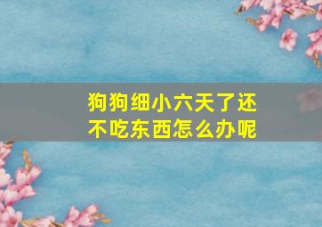 狗狗细小六天了还不吃东西怎么办呢