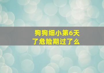 狗狗细小第6天了危险期过了么