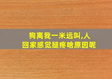 狗离我一米远叫,人回家感觉腿疼啥原因呢