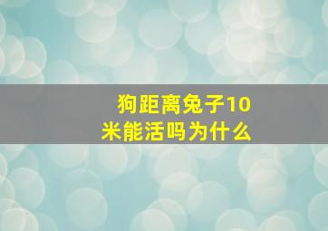 狗距离兔子10米能活吗为什么