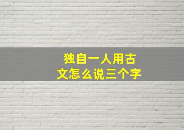 独自一人用古文怎么说三个字