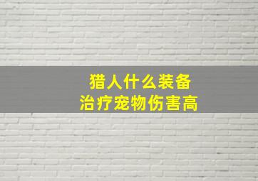 猎人什么装备治疗宠物伤害高