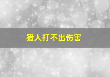 猎人打不出伤害