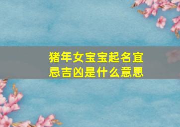 猪年女宝宝起名宜忌吉凶是什么意思