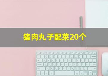 猪肉丸子配菜20个