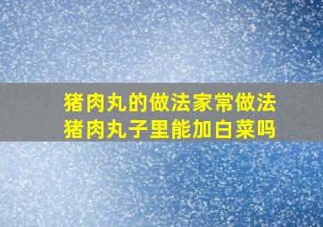 猪肉丸的做法家常做法猪肉丸子里能加白菜吗