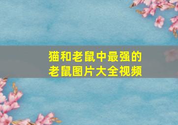 猫和老鼠中最强的老鼠图片大全视频