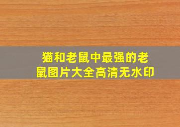 猫和老鼠中最强的老鼠图片大全高清无水印