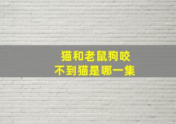 猫和老鼠狗咬不到猫是哪一集