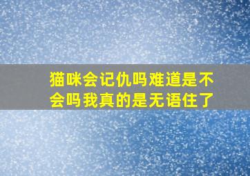 猫咪会记仇吗难道是不会吗我真的是无语住了