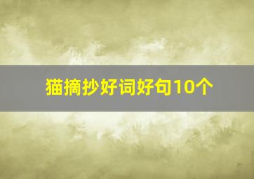 猫摘抄好词好句10个