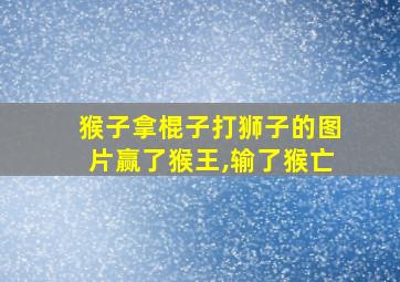 猴子拿棍子打狮子的图片赢了猴王,输了猴亡