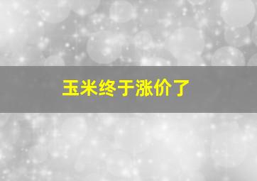 玉米终于涨价了