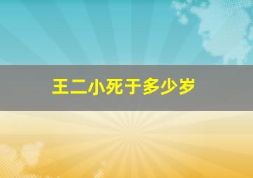 王二小死于多少岁