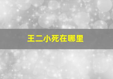 王二小死在哪里