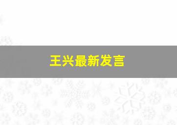 王兴最新发言