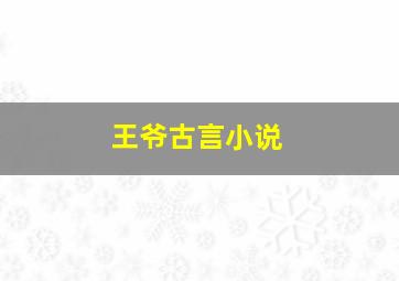 王爷古言小说