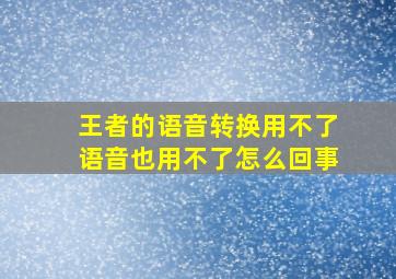 王者的语音转换用不了语音也用不了怎么回事