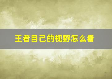 王者自己的视野怎么看