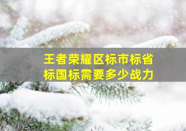 王者荣耀区标市标省标国标需要多少战力