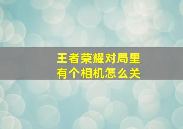 王者荣耀对局里有个相机怎么关