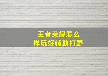 王者荣耀怎么样玩好辅助打野