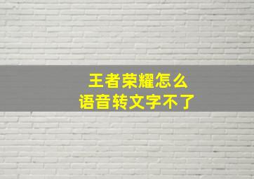 王者荣耀怎么语音转文字不了