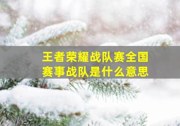 王者荣耀战队赛全国赛事战队是什么意思