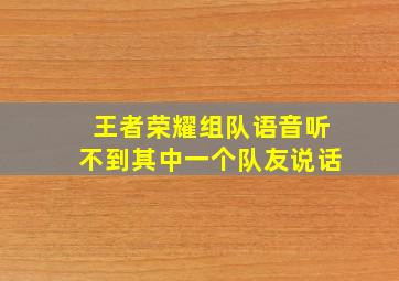 王者荣耀组队语音听不到其中一个队友说话