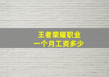 王者荣耀职业一个月工资多少