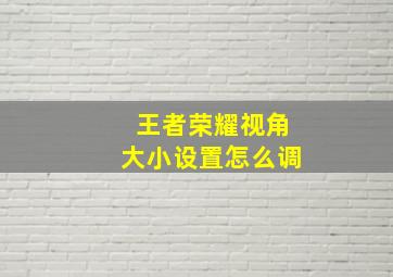 王者荣耀视角大小设置怎么调