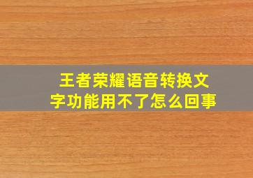 王者荣耀语音转换文字功能用不了怎么回事