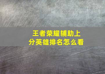 王者荣耀辅助上分英雄排名怎么看