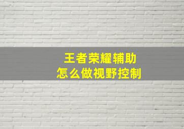 王者荣耀辅助怎么做视野控制