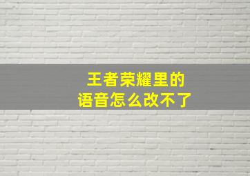 王者荣耀里的语音怎么改不了