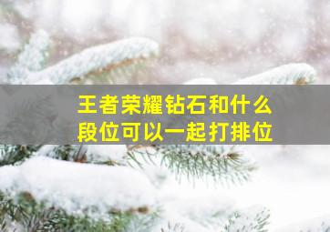 王者荣耀钻石和什么段位可以一起打排位