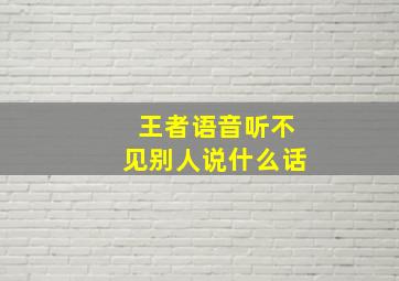 王者语音听不见别人说什么话