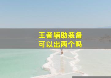 王者辅助装备可以出两个吗