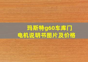 玛斯特g60车库门电机说明书图片及价格