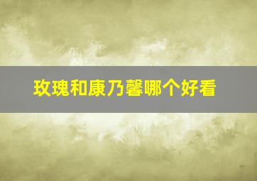 玫瑰和康乃馨哪个好看