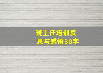 班主任培训反思与感悟30字