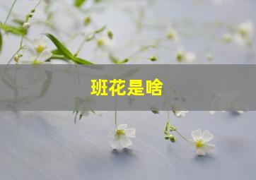 班花是啥