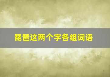 琵琶这两个字各组词语